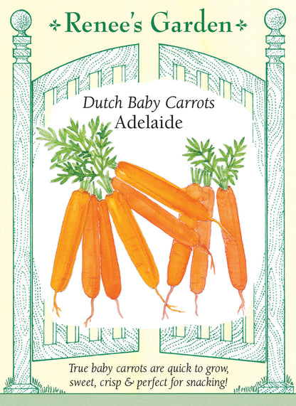 Dutch Baby Carrots - Adelaide