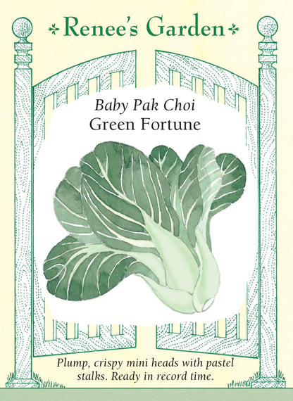 Baby Pak Choi - Green Fortune