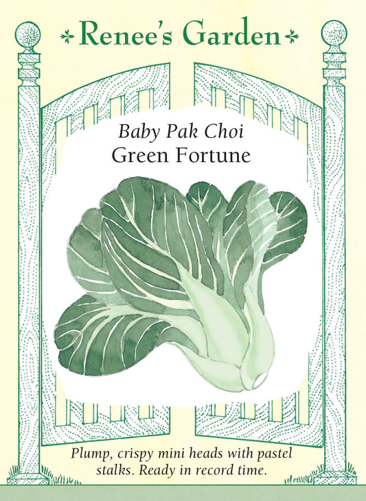 Baby Pak Choi - Green Fortune