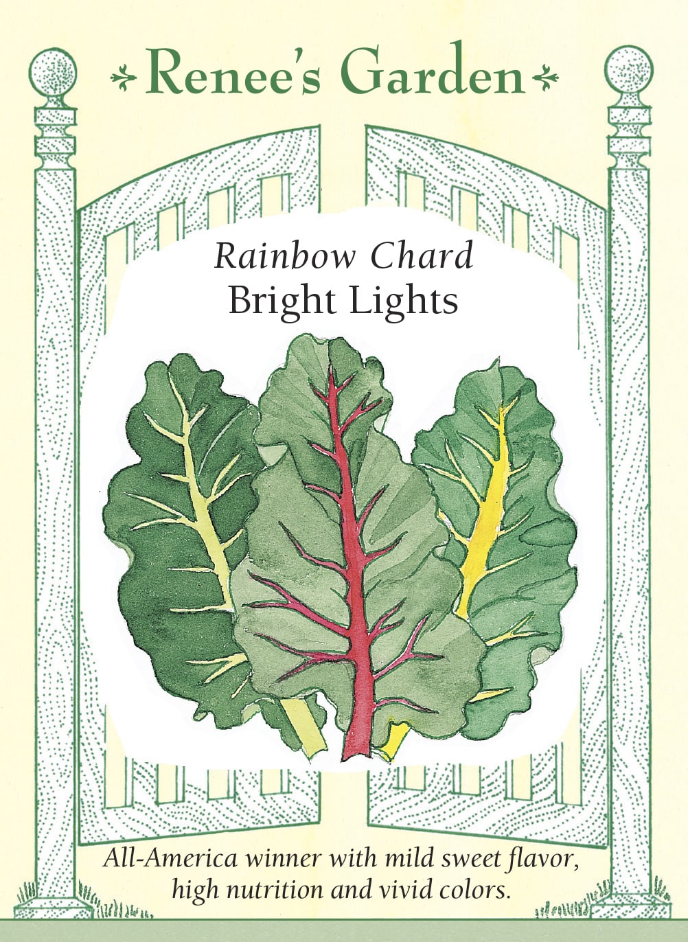Rainbow Chard - Bright Lights