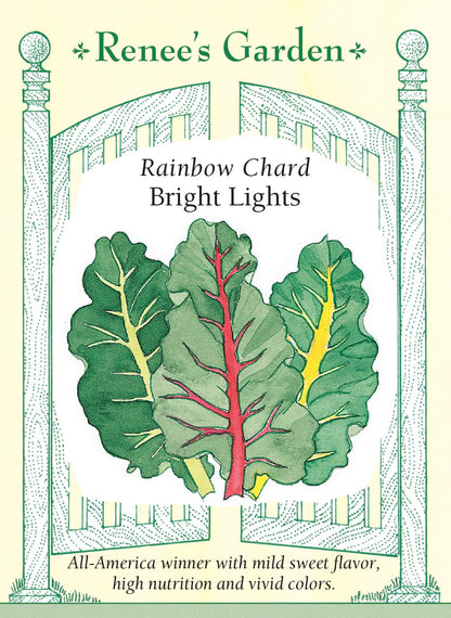 Rainbow Chard - Bright Lights