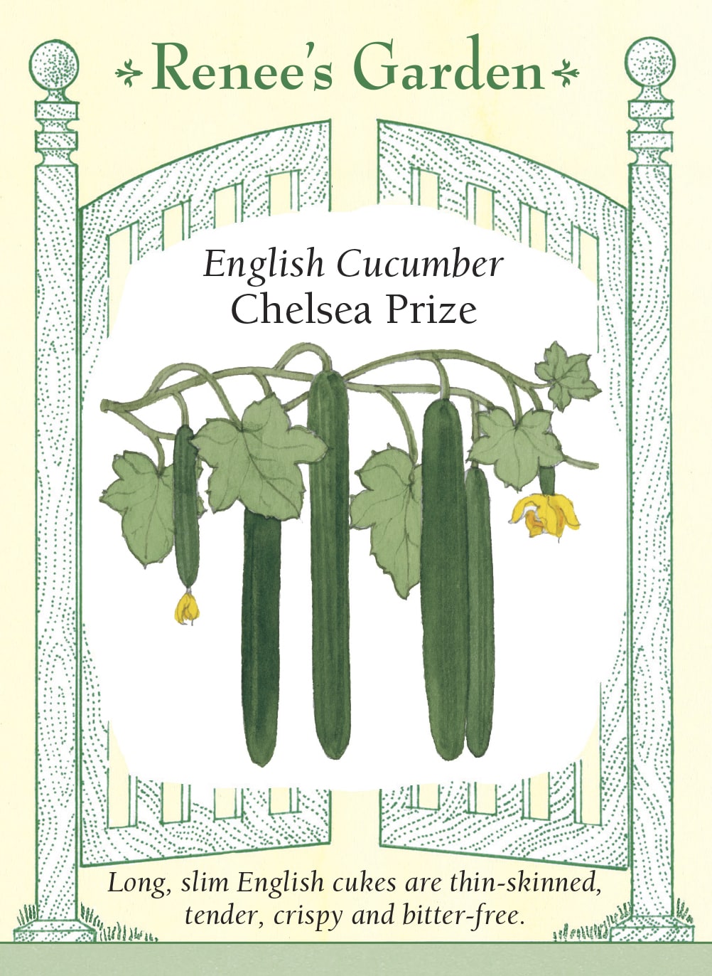 English Cucumber - Chelsea Prize