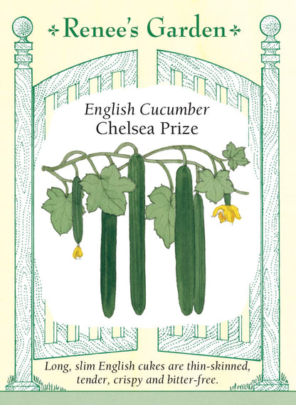 English Cucumber - Chelsea Prize
