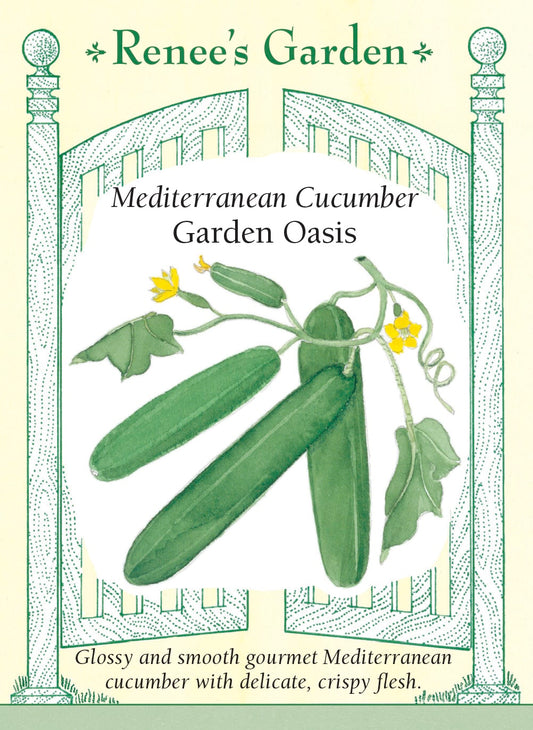 Mediterranean Cucumber - Garden Oasis