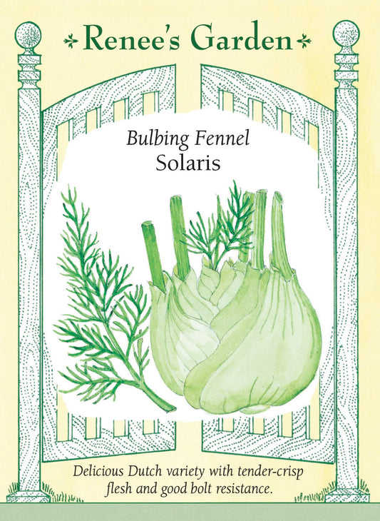 Bulbing Fennel - Solaris