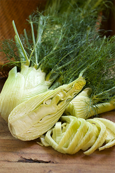 Bulbing Fennel - Solaris