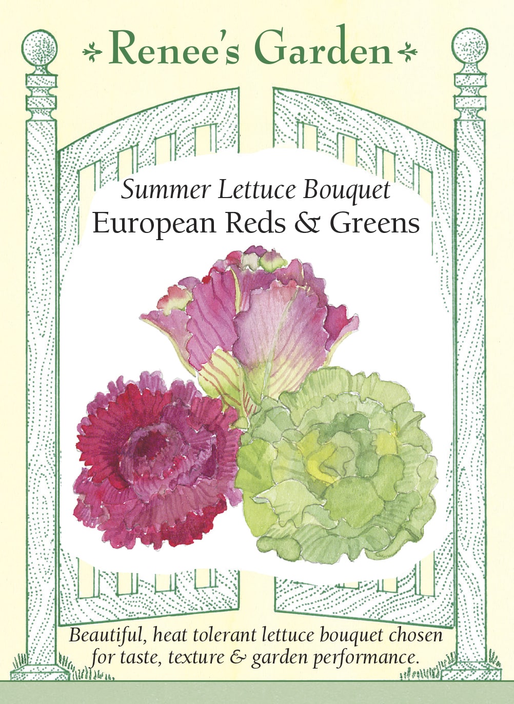 Summer Lettuce Bouquet - European Reds & Greens