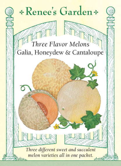 Three Flavor Melons - Galia, Honeydew & Cantaloupe