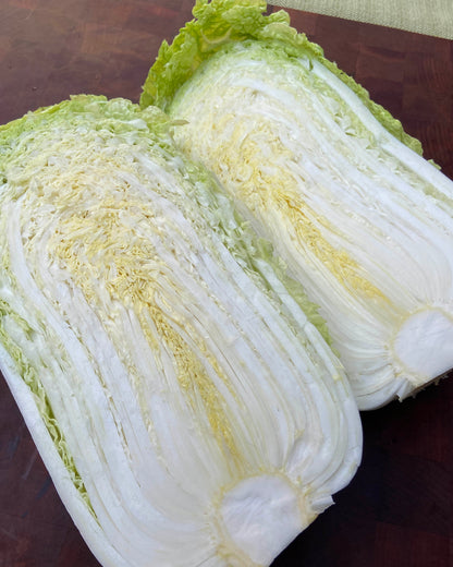 Napa/Chinese Cabbage - Emiko