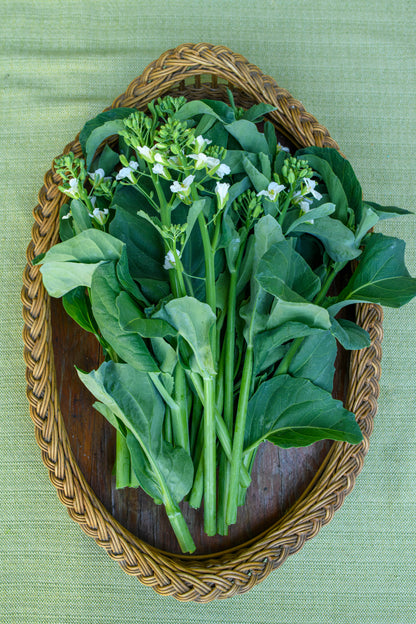 Gai Lan/Chinese Broccoli - Early Jade