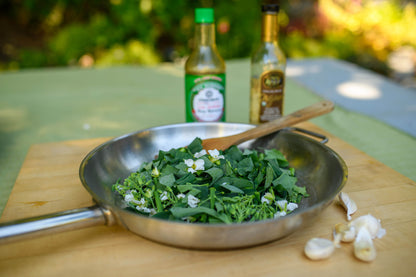 Gai Lan/Chinese Broccoli - Early Jade
