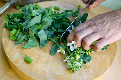 Gai Lan/Chinese Broccoli - Early Jade