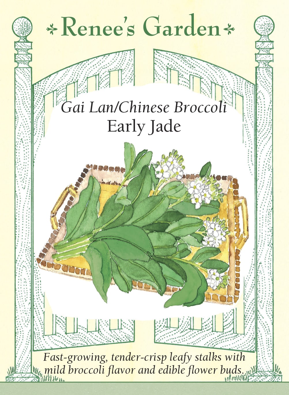 Gai Lan/Chinese Broccoli - Early Jade