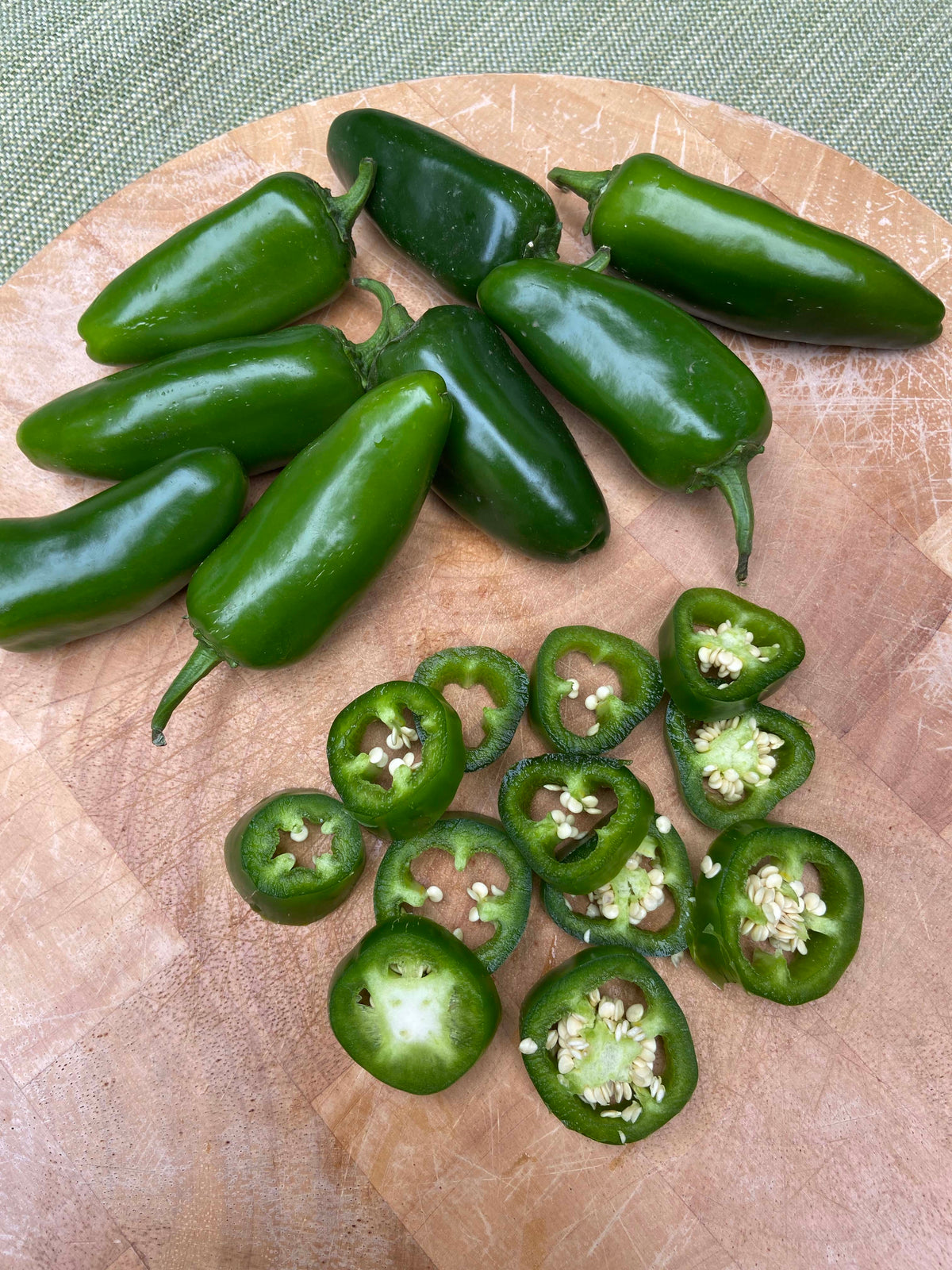 Early Jalapeño Chile - Bubba