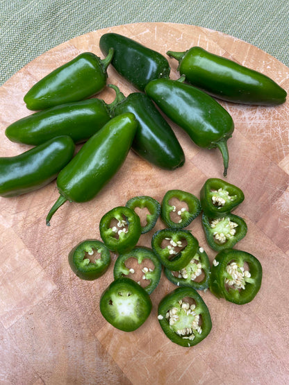Early Jalapeño Chile - Bubba