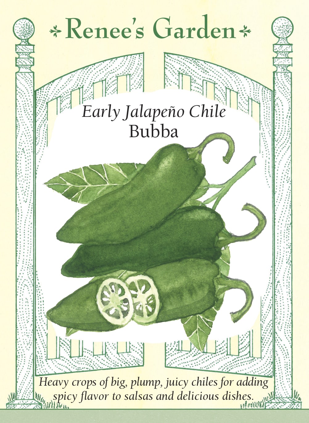 Early Jalapeño Chile - Bubba