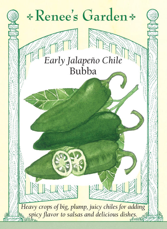Early Jalapeño Chile - Bubba