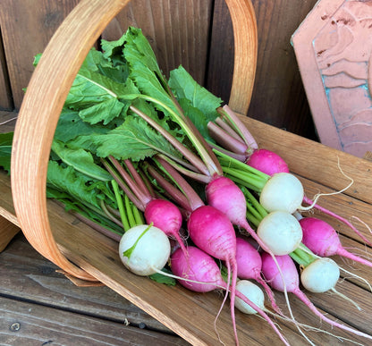 Baby Turnips - Pastel Duo