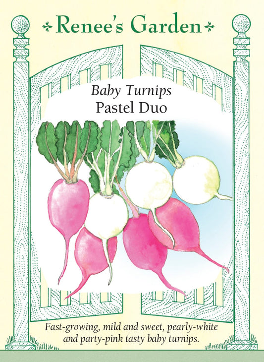 Baby Turnips - Pastel Duo