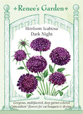 Heirloom Scabiosa - Dark Night