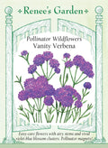 Pollinator Wildflowers - Vanity Verbena
