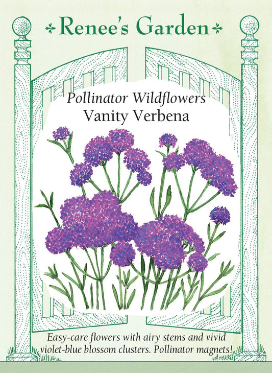 Pollinator Wildflowers - Vanity Verbena