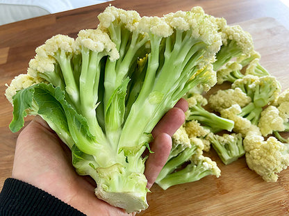 Floret Cauliflower - Fioretto