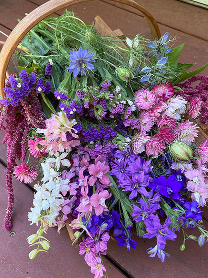 Pollinator Flowers - Everlasting Beauty Mix