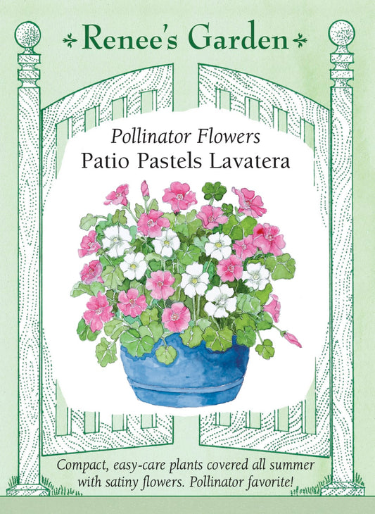 Pollinator Flowers - Patio Pastels Lavatera