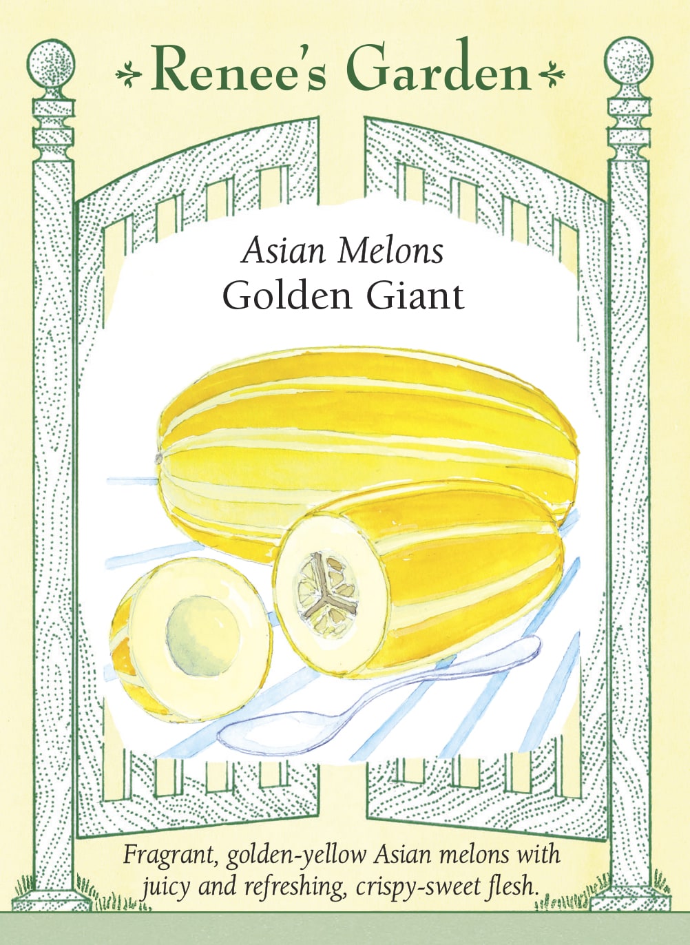 Asian Melons - Golden Giant