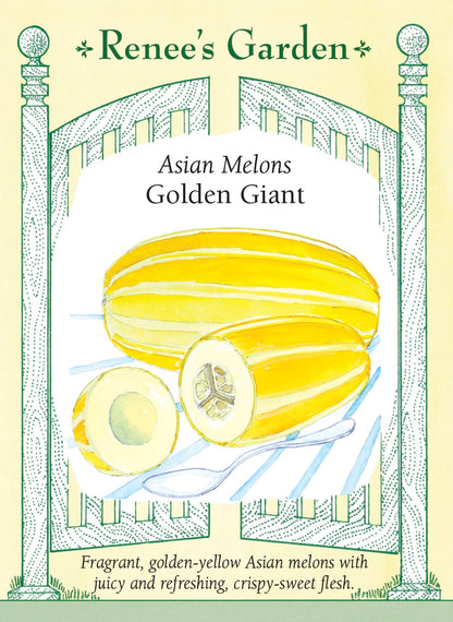 Asian Melons - Golden Giant