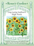 Long-Lasting Sunflowers - High Noon