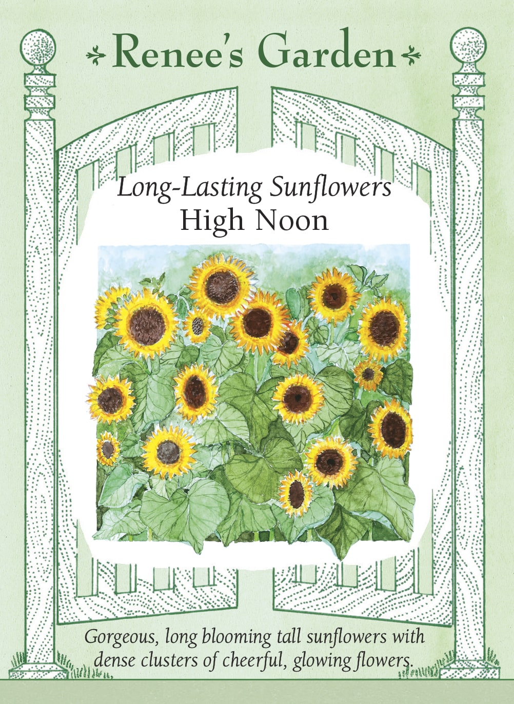Long-Lasting Sunflowers - High Noon