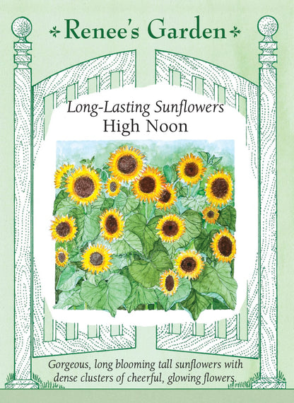 Long-Lasting Sunflowers - High Noon