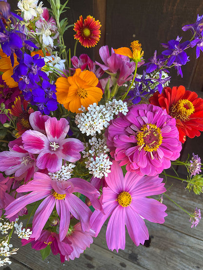 Pollinator Flowers - Monarch Butterfly Flowers