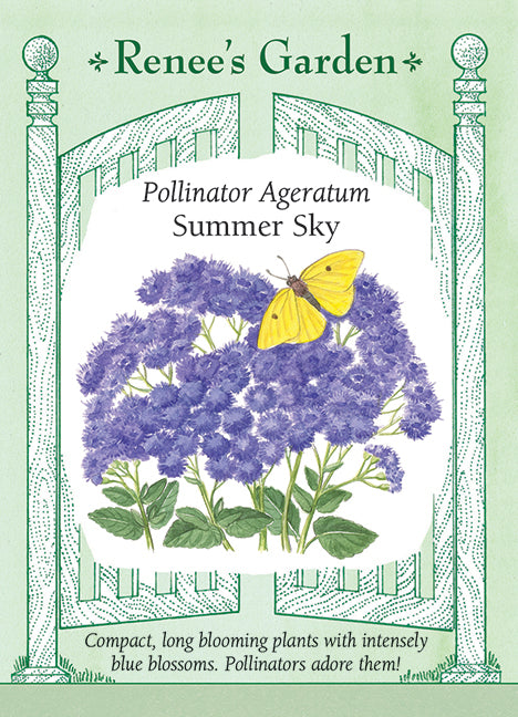 Pollinator Ageratum - Summer Sky