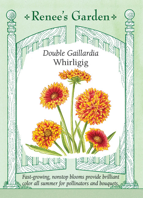 Double Gaillardia - Whirligig