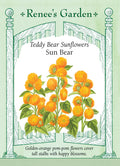Teddy Bear Sunflowers - Sun Bear