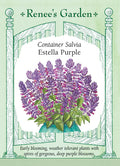 Container Salvia - Estella Purple
