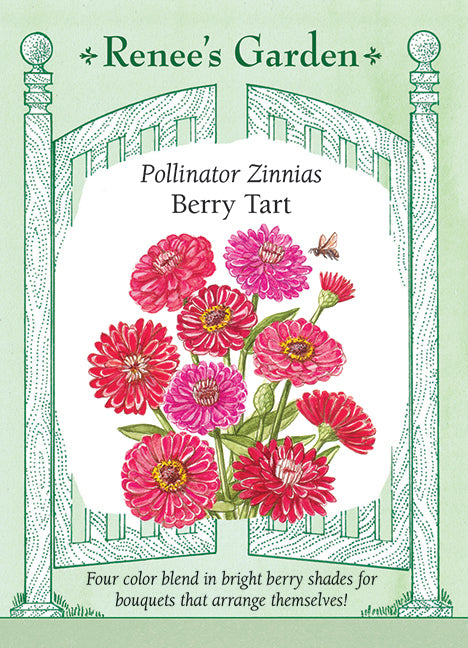 Pollinator Zinnias - Berry Tart