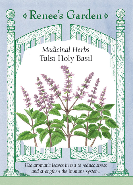 Hand-Picked Seed Bundle - Tea Garden