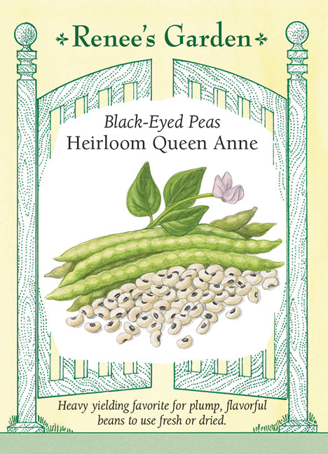 Black-Eyed Peas - Heirloom Queen Anne