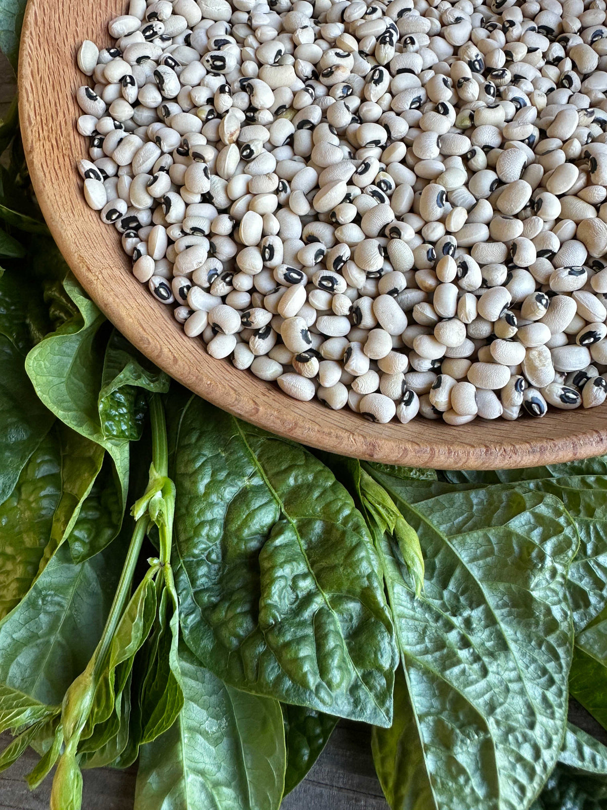 Black-Eyed Peas - Heirloom Queen Anne