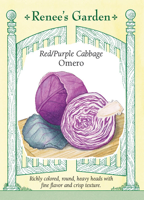 Red/Purple Cabbage - Omero