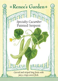 Specialty Cucumber - Painted Serpent