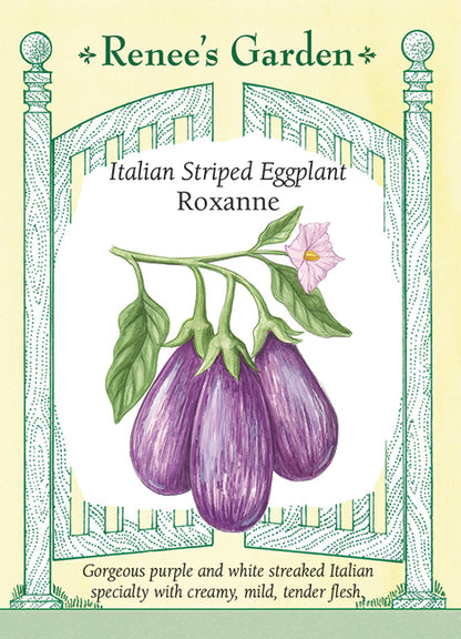 Italian Striped Eggplant - Roxanne