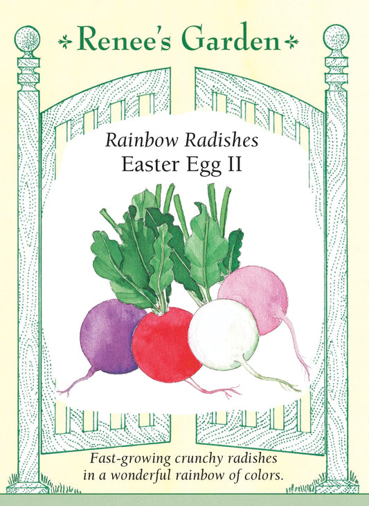 Rainbow Radishes - Easter Egg II