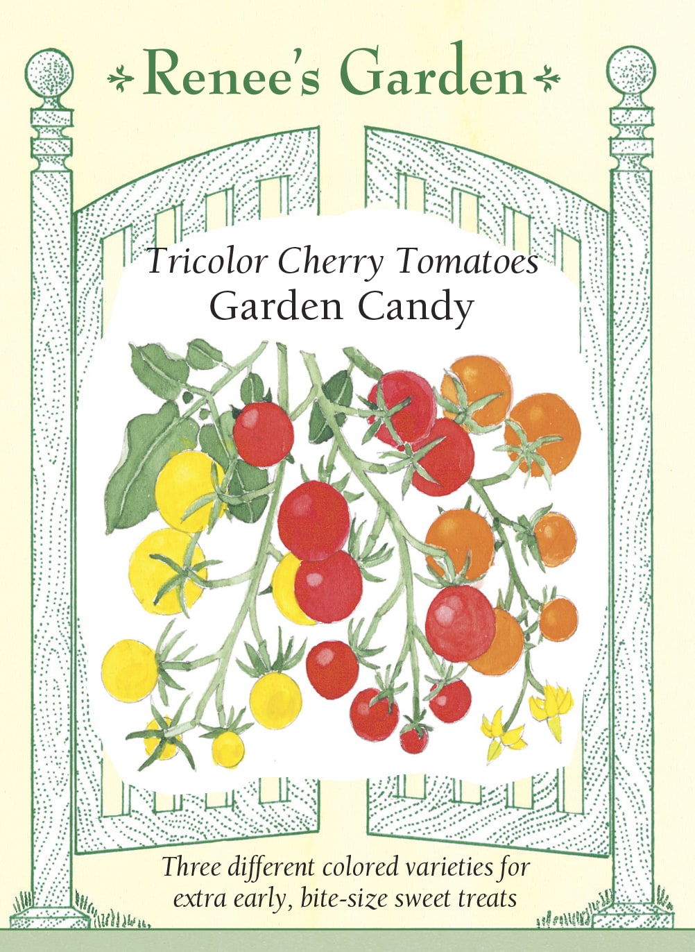 Tricolor Cherry Tomatoes - Garden Candy