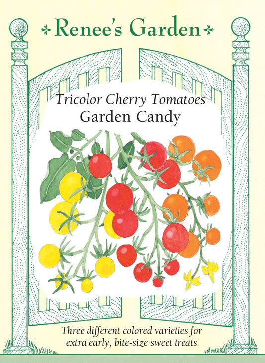 Tricolor Cherry Tomatoes - Garden Candy