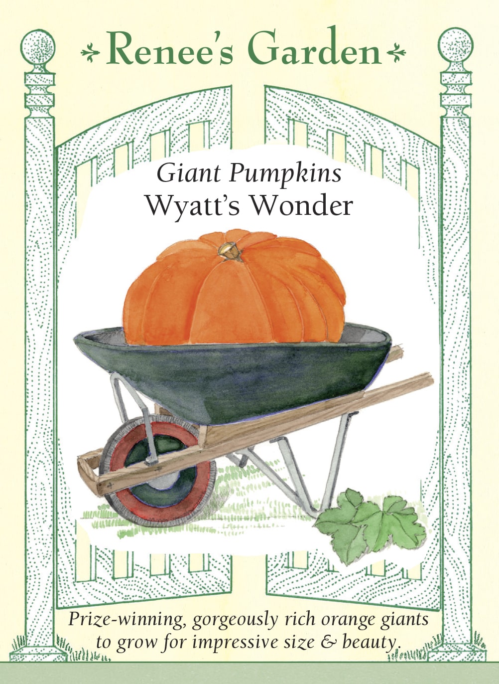 Giant Pumpkins - Wyatt's Wonder